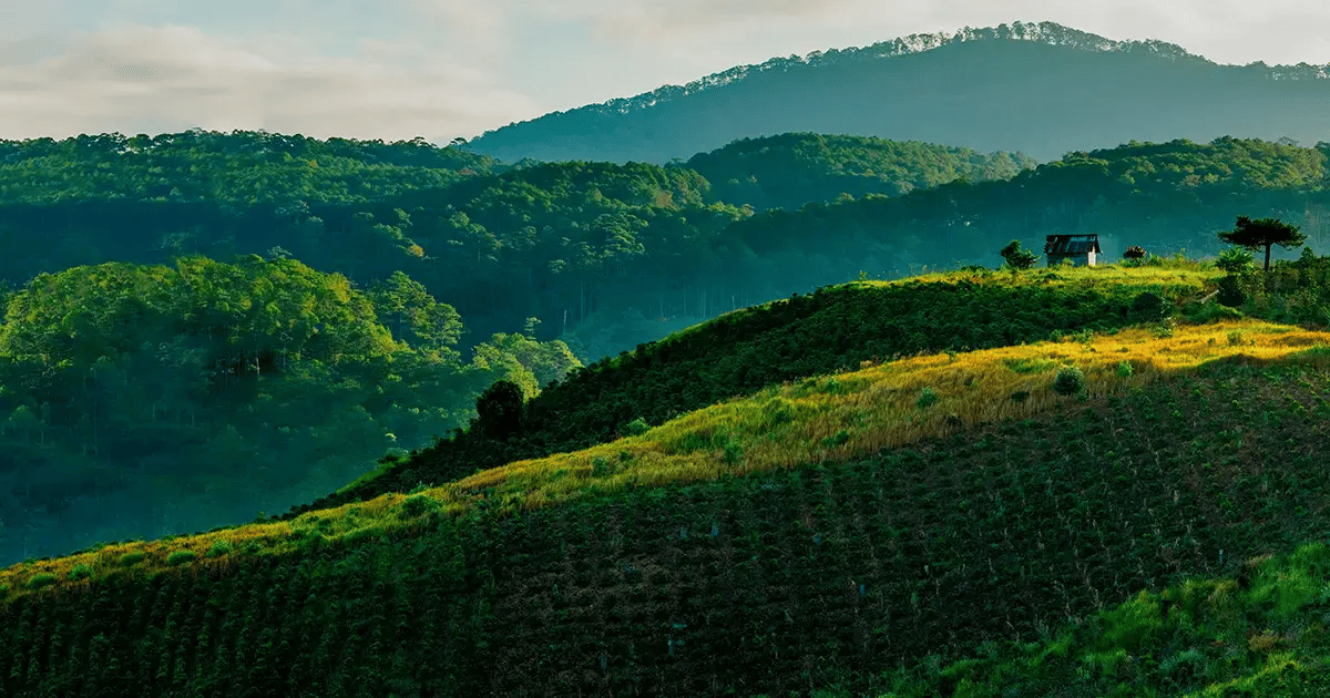 Landscape_Featured_1200x630_1