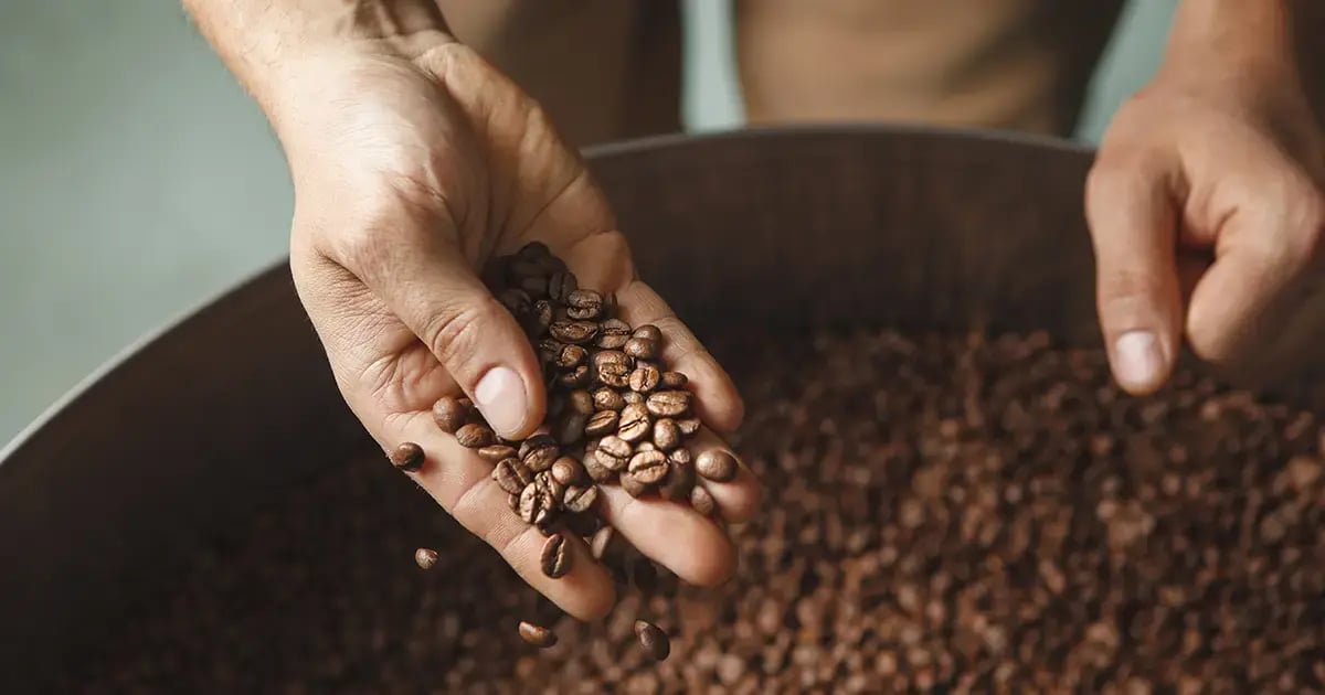 Waves of Coffee_Featured_1200x630_1